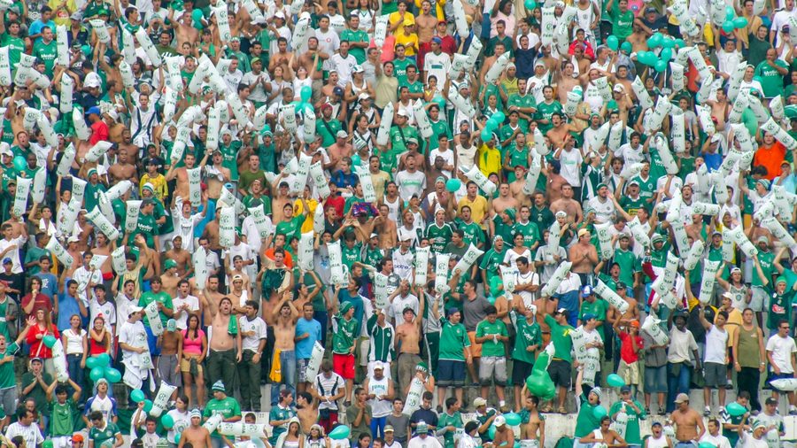 BBIN体育 APP — 营业执照与资质公示示意配图